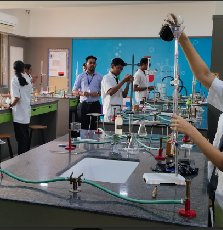 Language Development